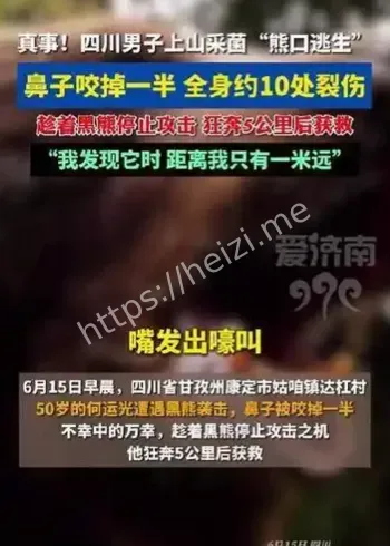 云南丽江黑熊袭击采菌男子