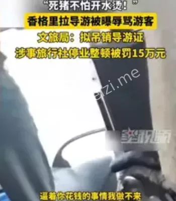 导游被吊销导游证
